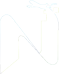 Naaz Consultancy